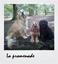 Album photos promenade